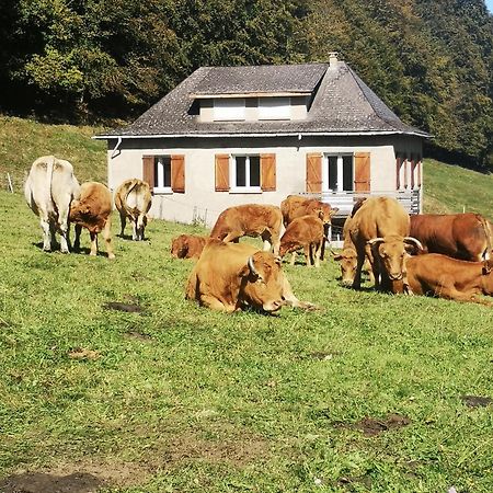 Tourmalet Villa Campan Kültér fotó